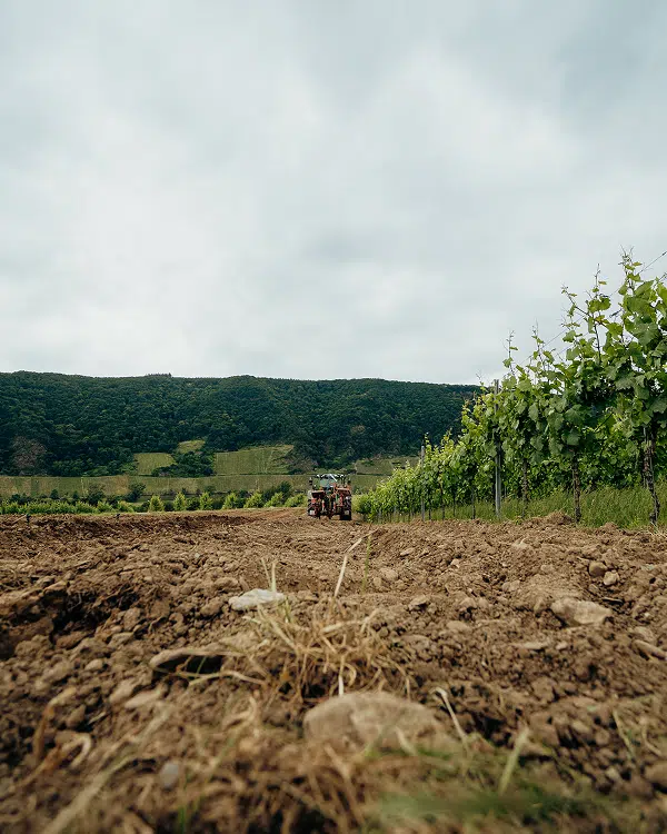 Müllers Lohnunternehmen in Kröv an der Mosel - ein Unternehmen der Müllers Gruppe