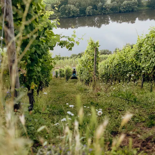 Müllers Lohnunternehmen in Kröv an der Mosel - ein Unternehmen der Müllers Gruppe