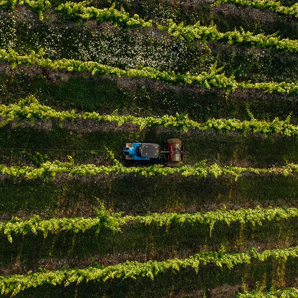 Müllers Lohnunternehmen in Kröv an der Mosel - ein Unternehmen der Müllers Gruppe