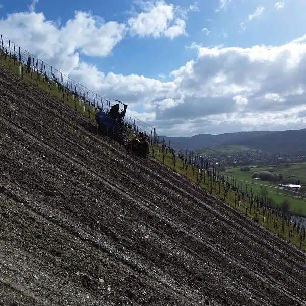 Müllers Lohnunternehmen in Kröv an der Mosel - ein Unternehmen der Müllers Gruppe